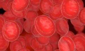 Understanding The Sickle Cell Anemia