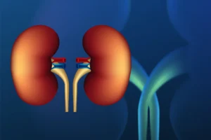 Everything You Need To Know About Kidney Damage