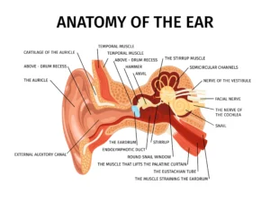 Navigating Ear Wax Removal Safely: Tips And Techniques